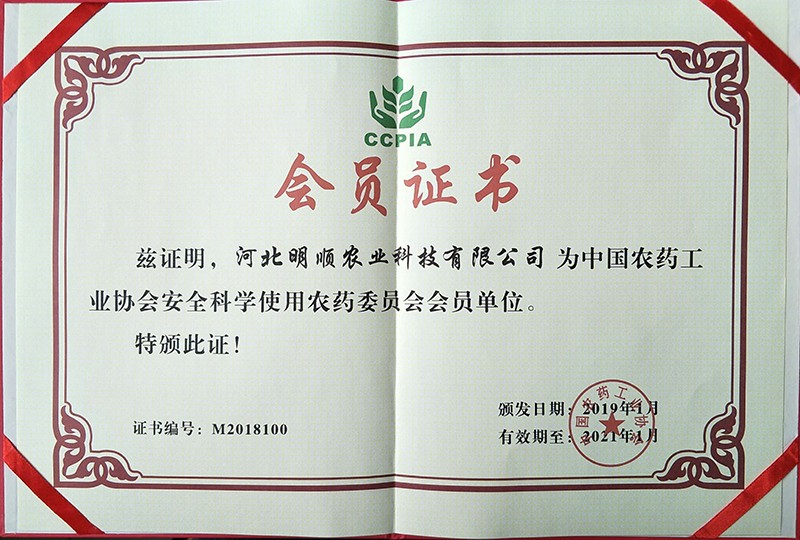 会员证书