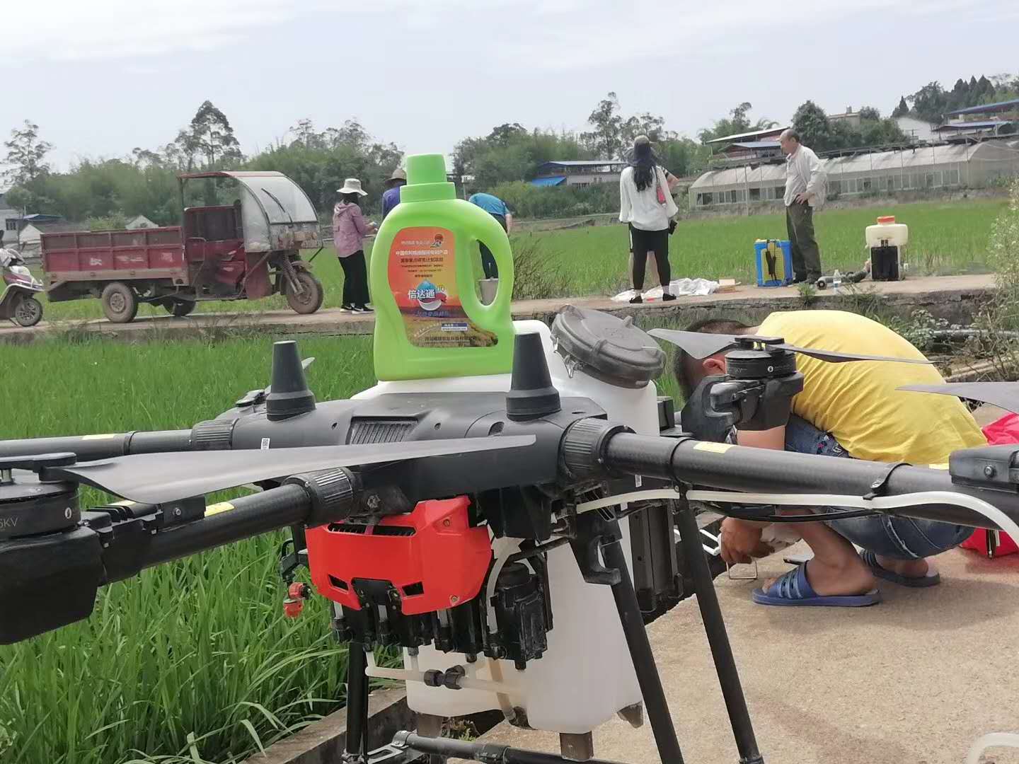 田间试验