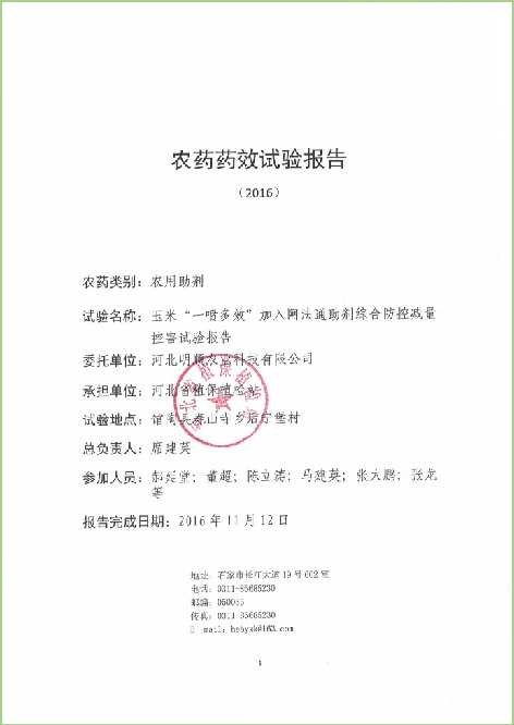 邯郸馆陶玉米一喷多效