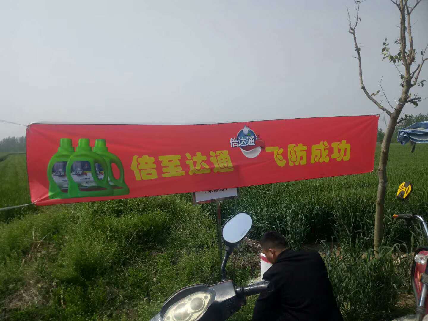 安徽阜阳