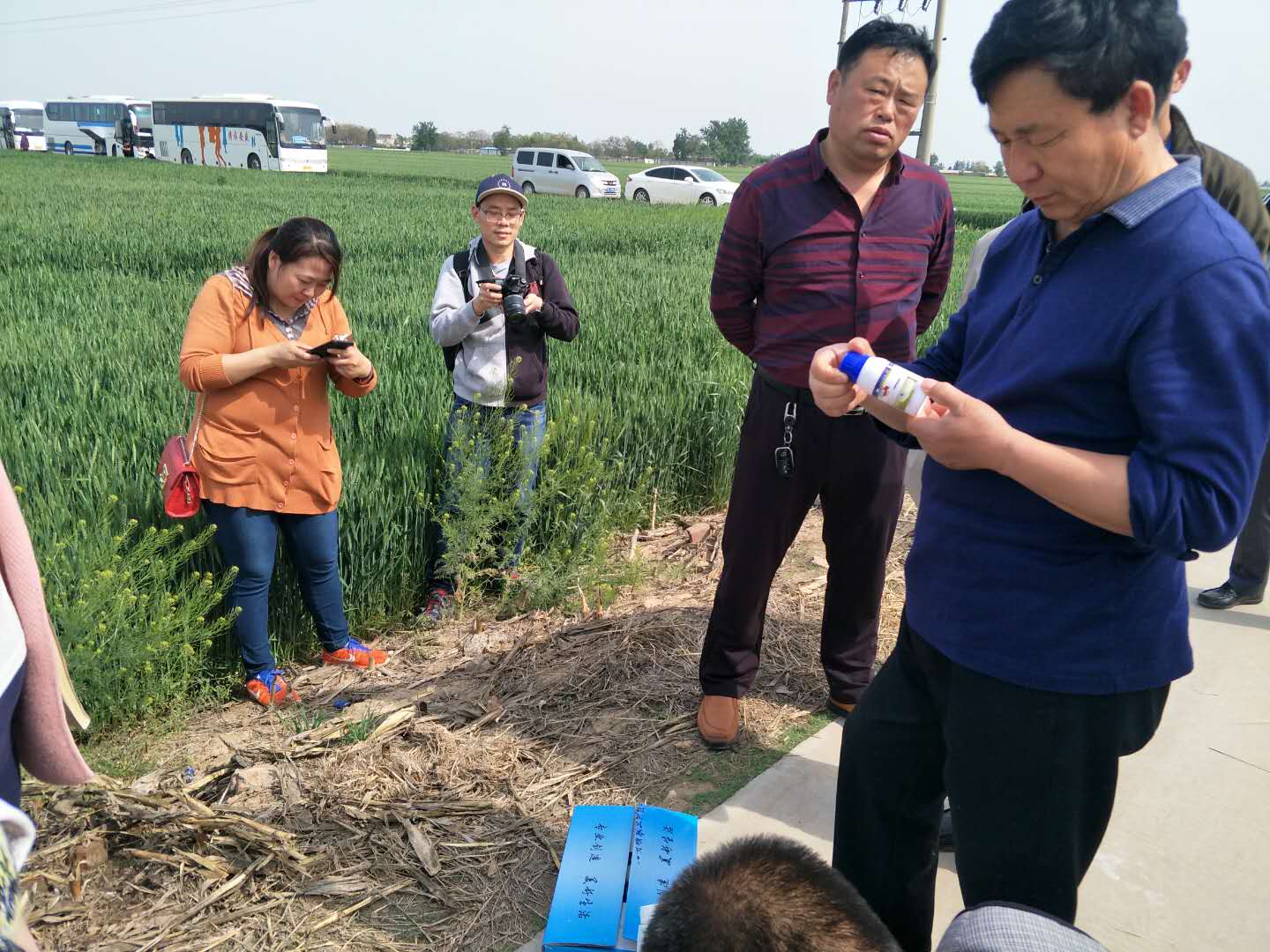 栾城