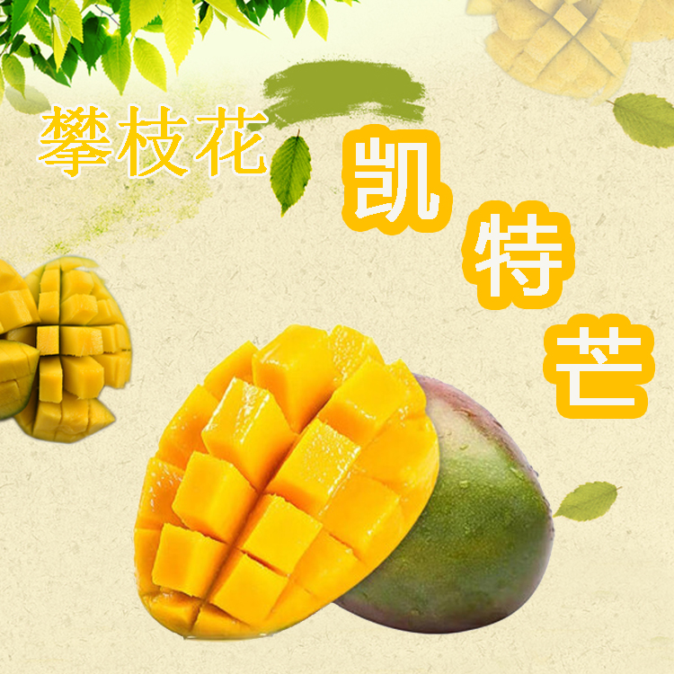 芒果-yl9193永利喵果攀枝花凯特芒