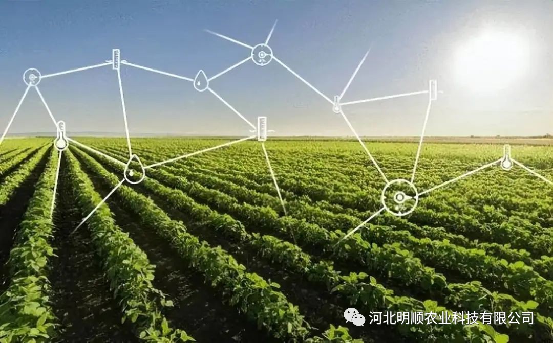 未来农业发展模式