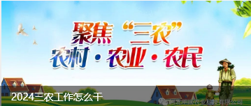 2024三农工作怎么干