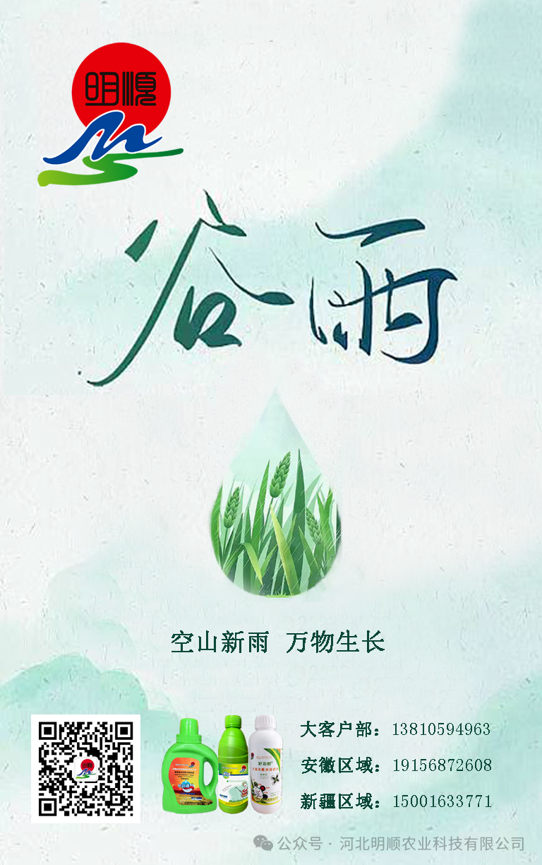 今日“谷雨”