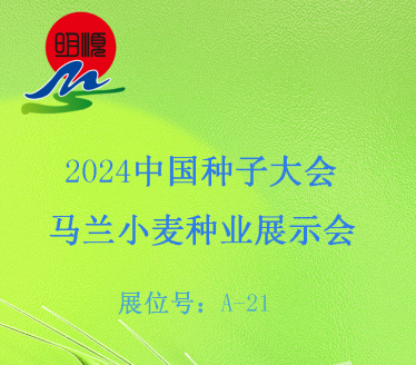 周末相约河北辛集