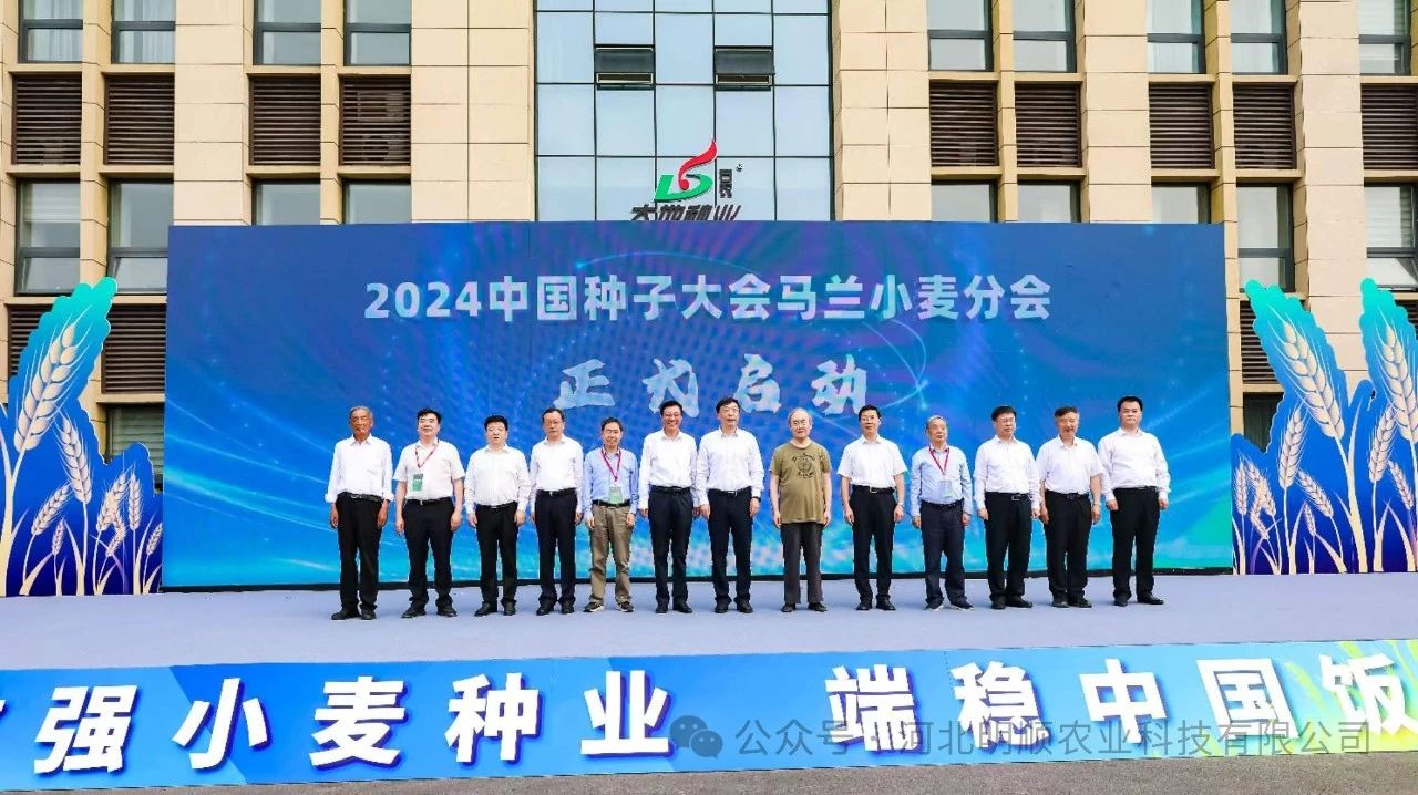 2024中国种子大会马兰小麦分会成功召开