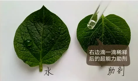 中国市场植保飞防药剂你知道多少？
