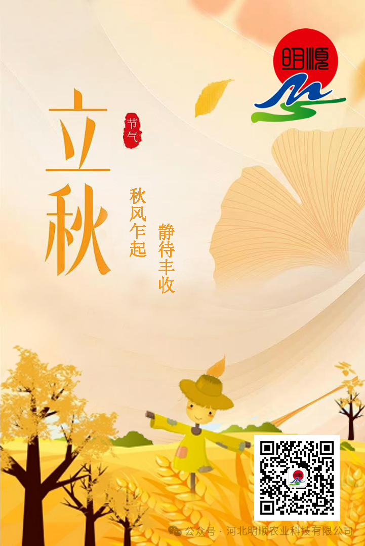 今日“立秋”
