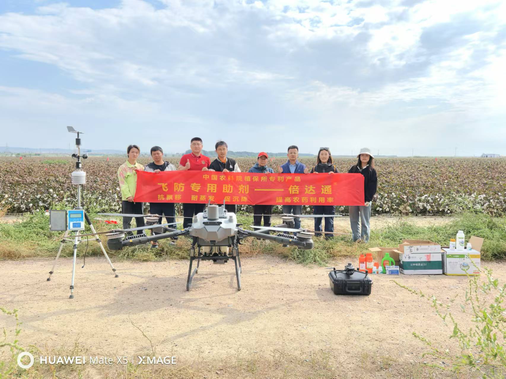植保无人飞机施药新疆棉花脱叶剂联合试验—新疆博乐站