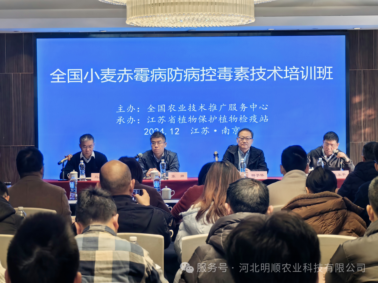 科学防控小麦赤霉病毒素需添加助剂