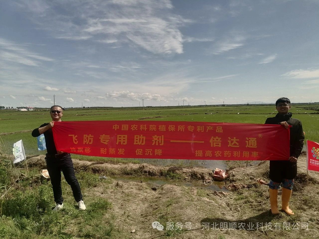 倍达通助剂对植保无人飞机施药防治水稻杂草及抗飘移效果综合评价报告