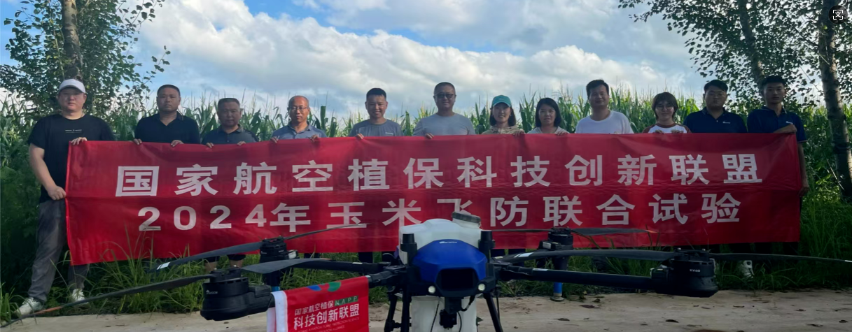 倍达通®助剂对植保无人飞机施药防治玉米田大、小斑病效果综合评价报告 