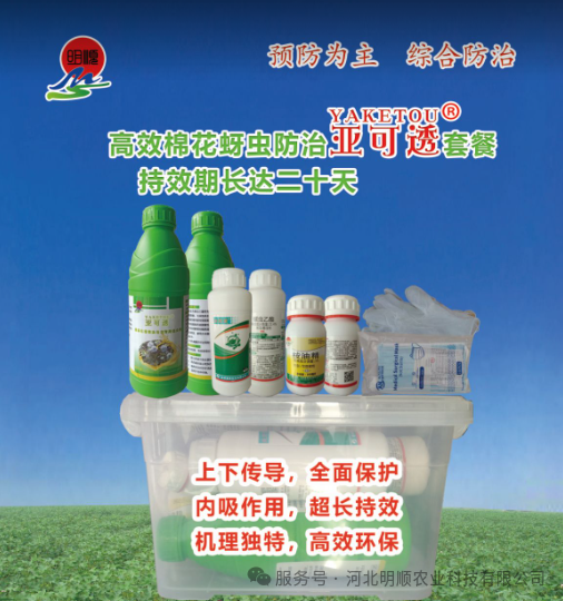 科学防控—亚可透套餐防治新疆蚜虫