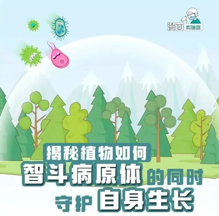 西湖大学教授揭秘植物如何智斗病原菌 禾敏素让植物聪明起来